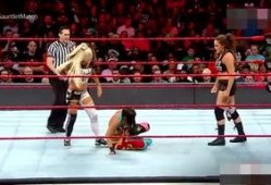 每日大赛 体育圈人,每日大赛精彩瞬间