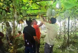 瓜瓜基地,绿色生态农业的璀璨明珠